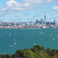 Auckland landscape.jpg