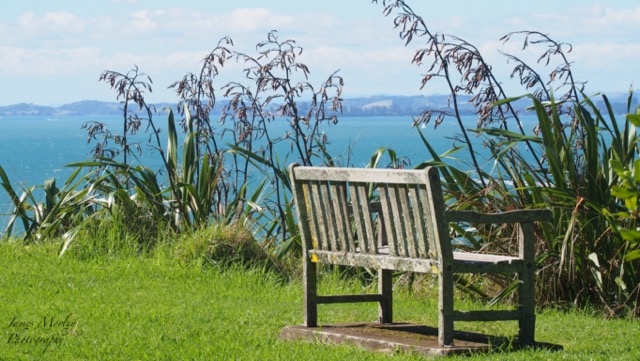 Bench with a view.jpg