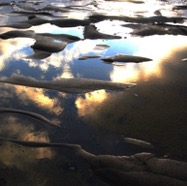 Sunset reflection in sea puddles.jpg